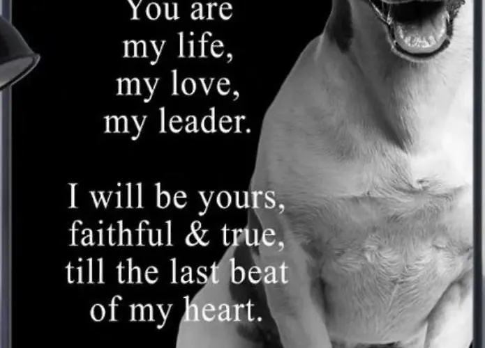 Апартаменты Mono Dd Checkin A Richiesta *