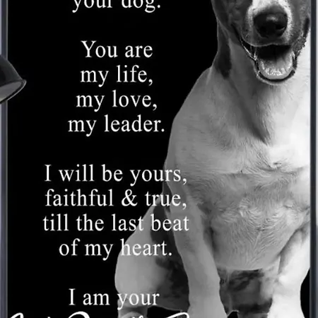 דירה Mono Dd Checkin A Richiesta *